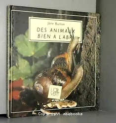 Animaux bien à l'abri (Des)