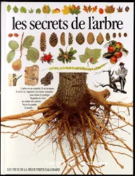 Secrets de l'arbre (Les)