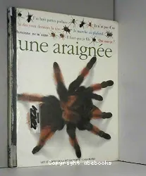 Araignée (Une)