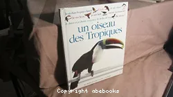 Oiseau des Tropiques (Un)