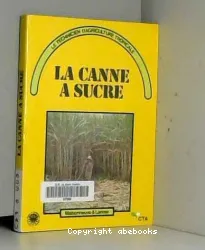 Canne à sucre (La)