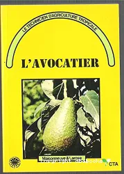 Avocatier (L')