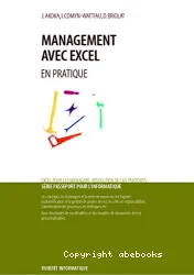 Management avec Excel en pratique