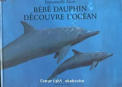 Bébé dauphin découverte de l'océan