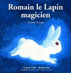 Romain le lapin magicien