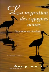 Migration des cigognes noires (La)