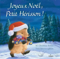 Joyeux Noël petit hérisson