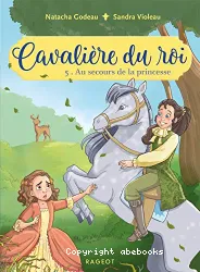 Au secours de la princesse