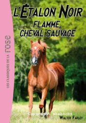 Flamme, cheval sauvage