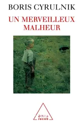 Merveilleux malheur (Un)