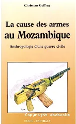 Cause des armes au Mozambique (La)