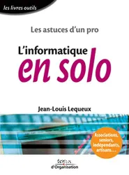 Informatique en solo (L')